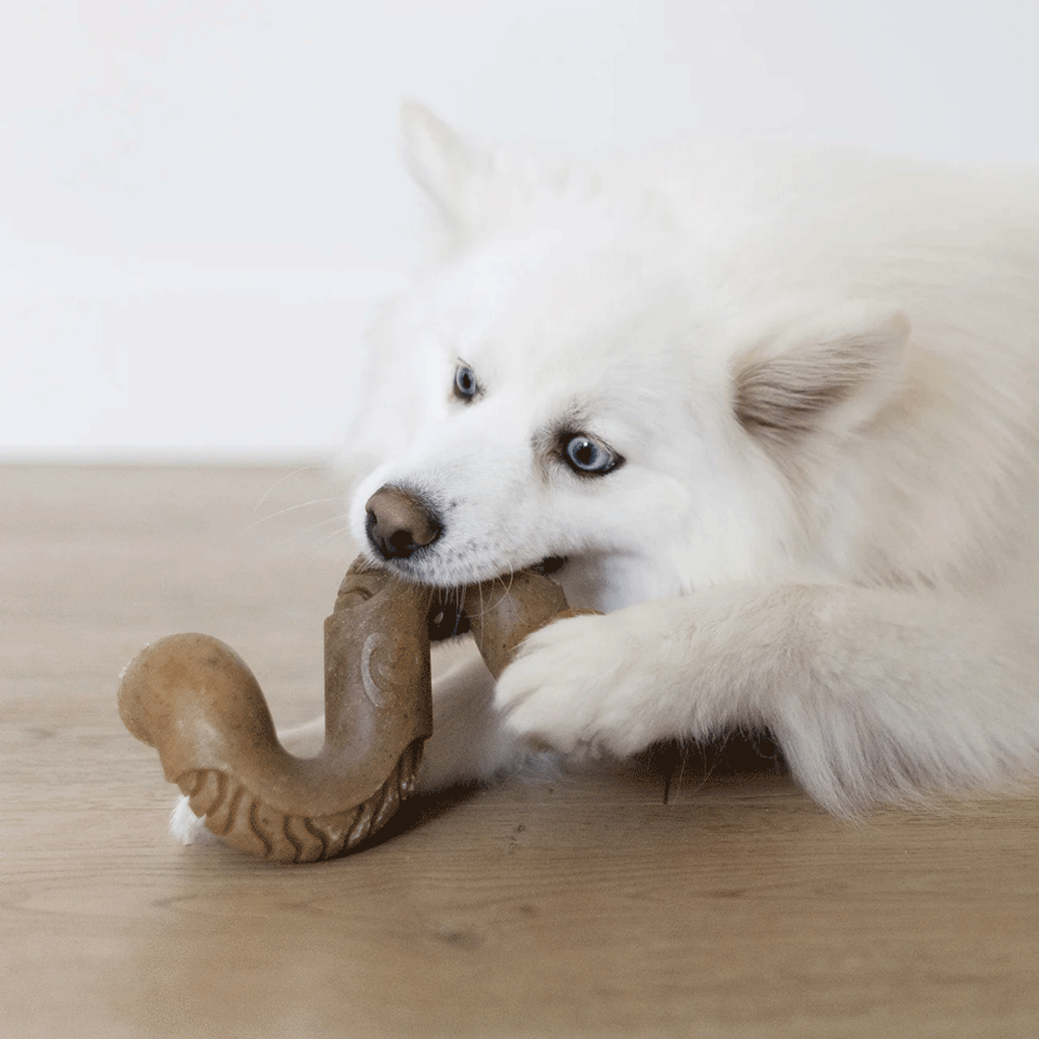 Brinquedo Benebone Tripe Bone - cachorro tamanho médio