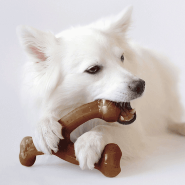 Brinquedo Benebone Wishbone Bacon - cachorro médio