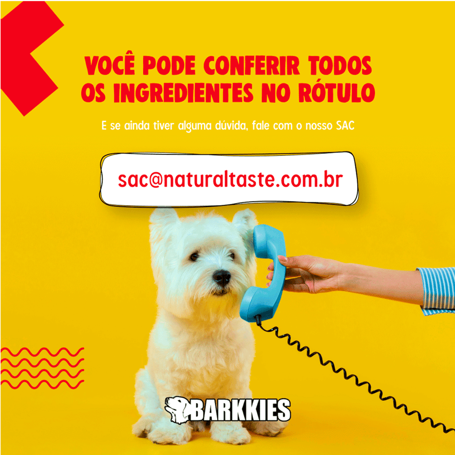 Petisco Natural Cães Barkkies atendimentos ao cliente