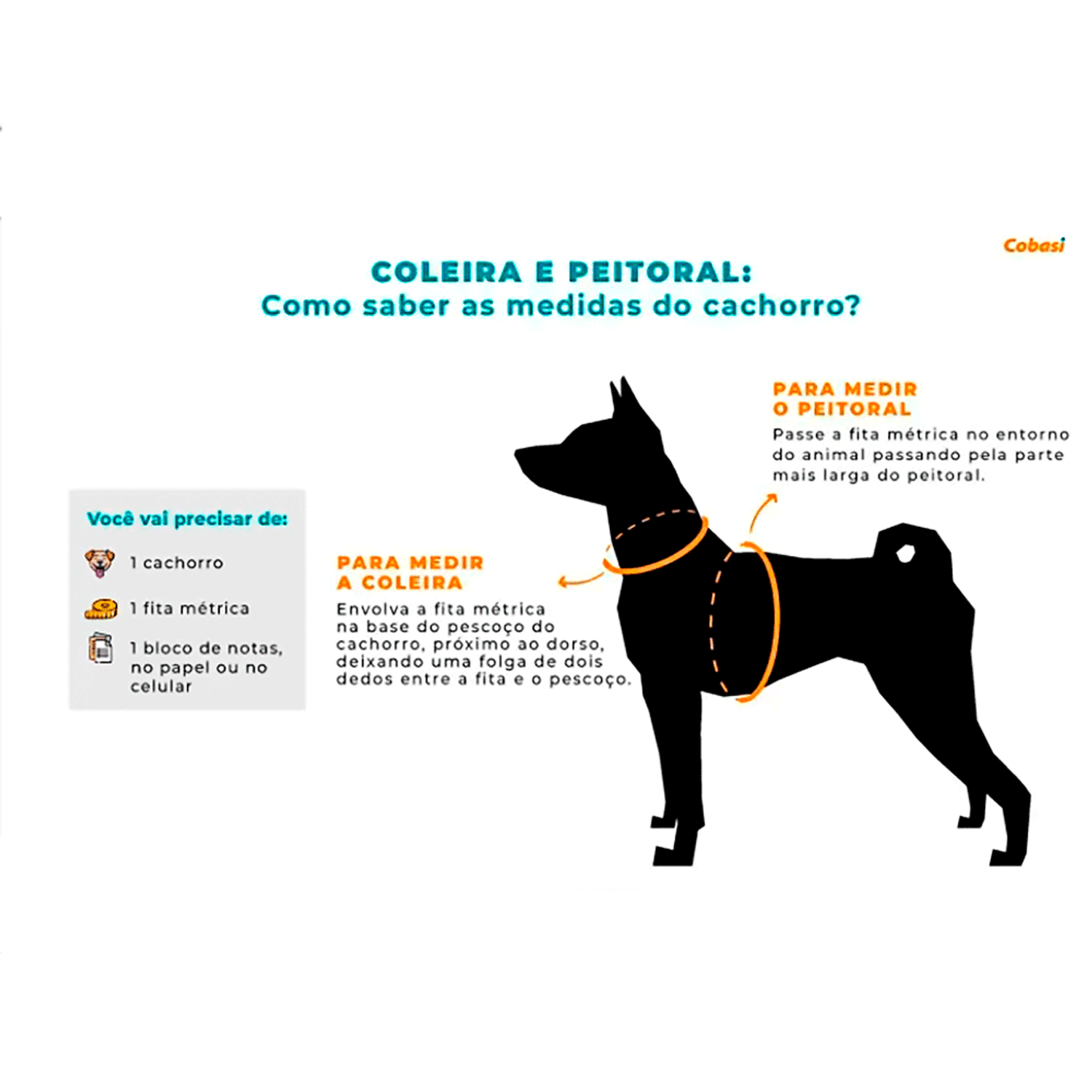 Como medir o seu pet?