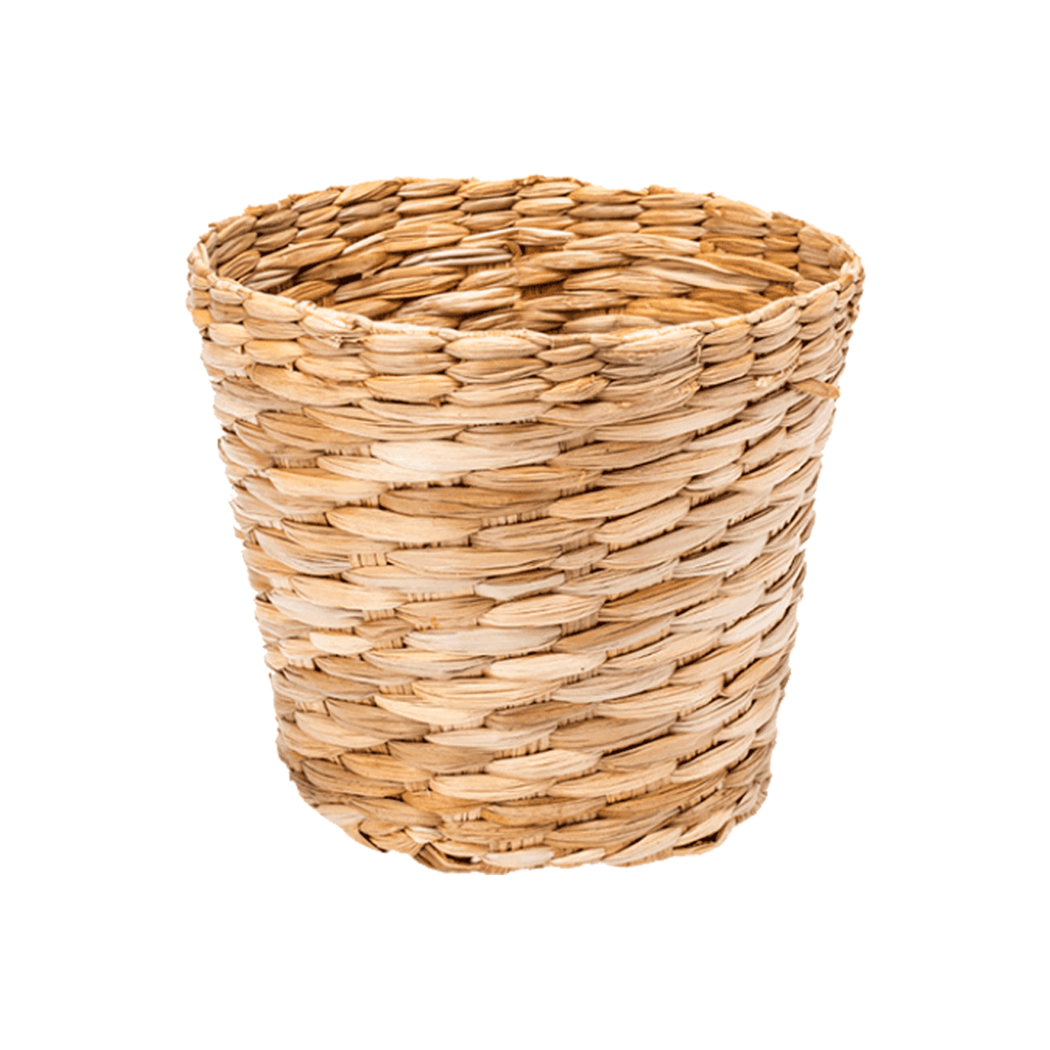 Cachepô Cone de Taboa Crisântemo Art Cestas