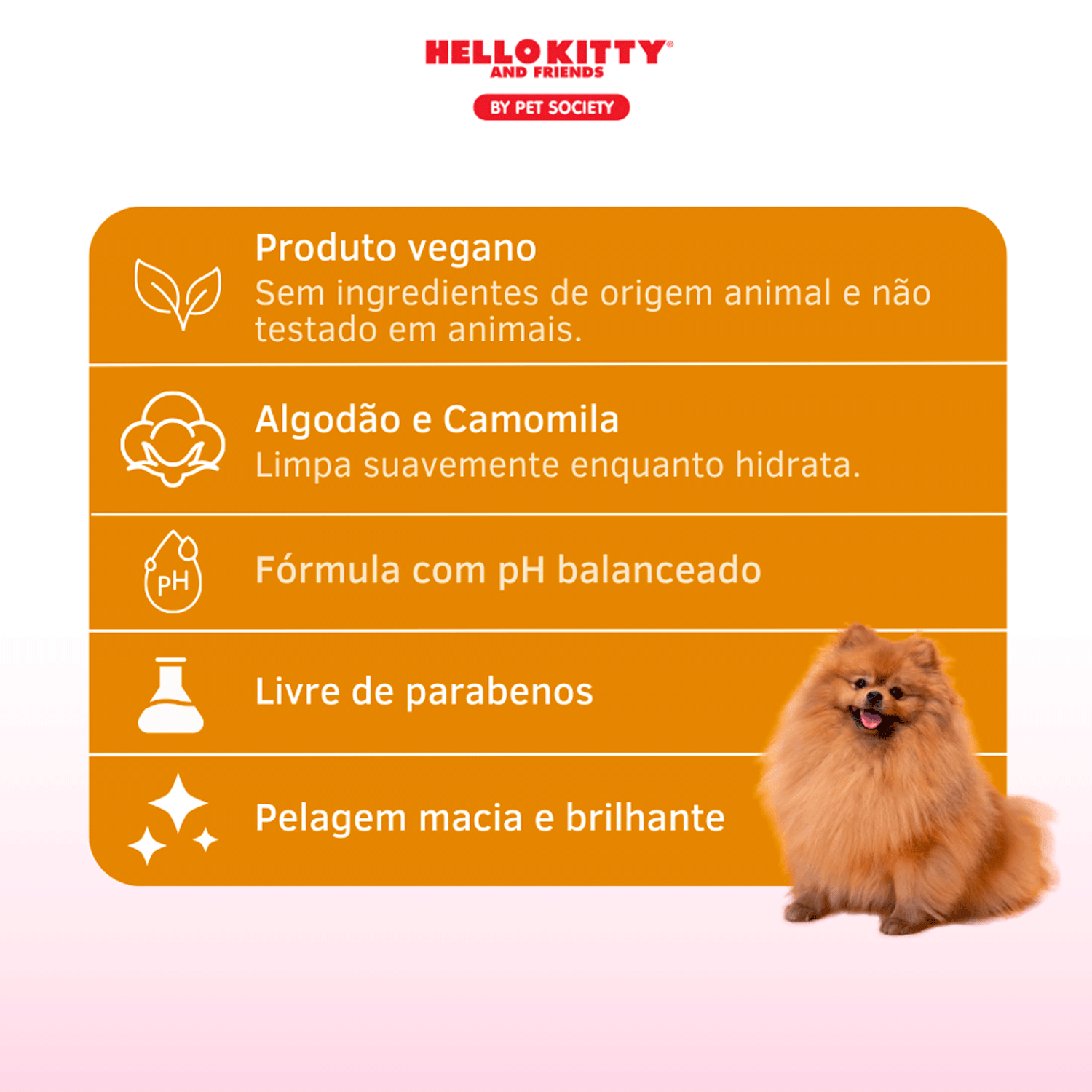 Informacoes-do-Shampoo-Hidratante-Hello-Kitty-Pochacco