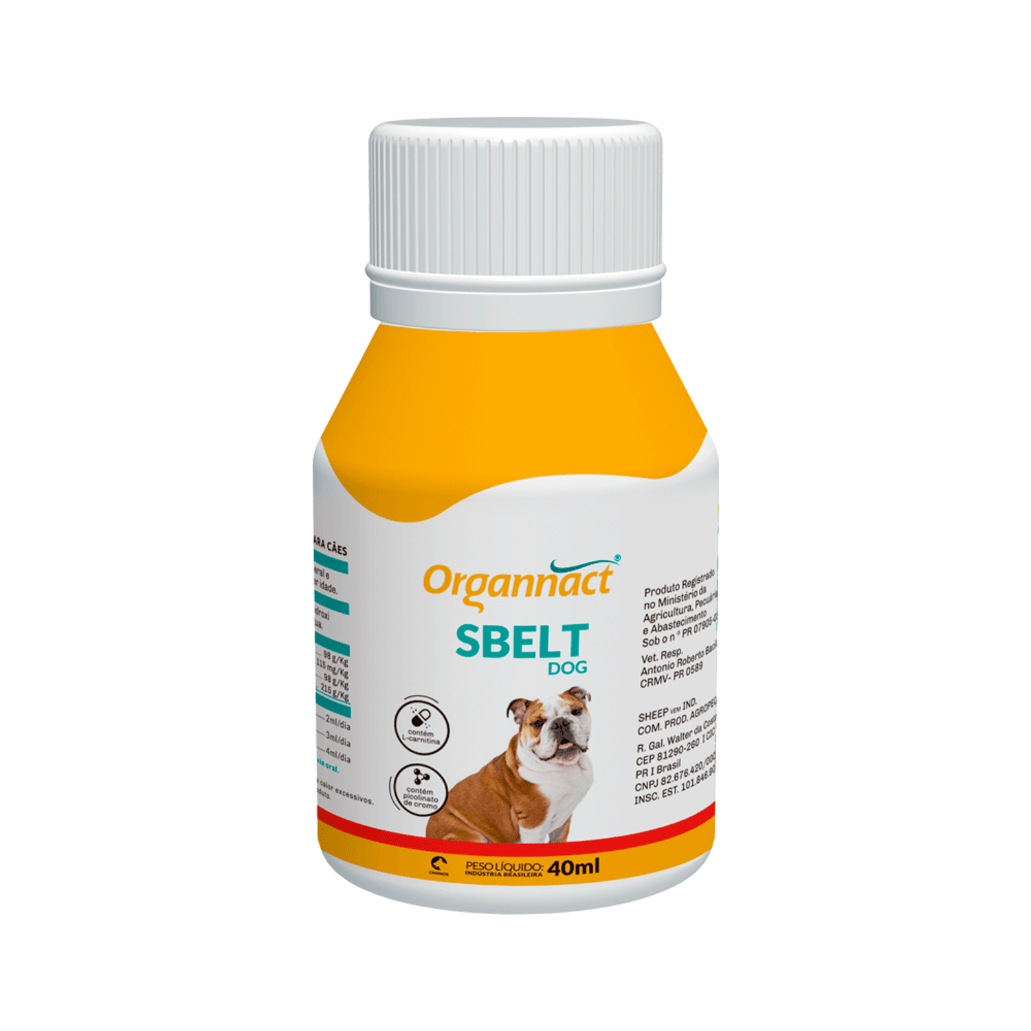 Organnact Sbelt Dog