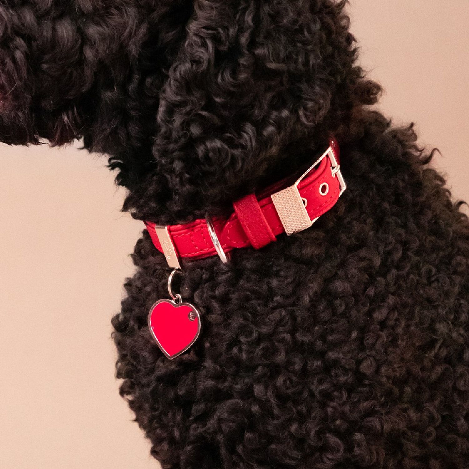 Placa de Identificação Handmade Coração Vermelho MyFamily com pet