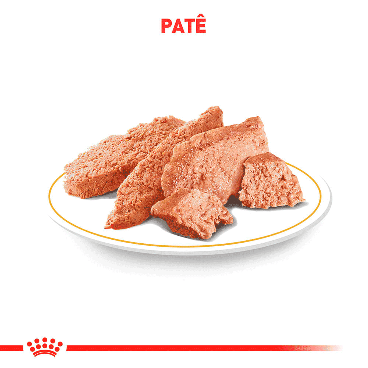 Patê Royal Canin Renal Cães Adultos