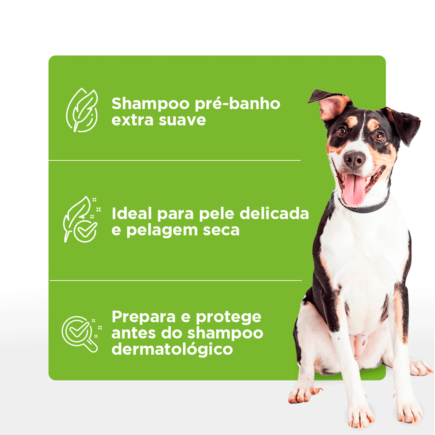 Shampoo Pré-Banho Primer Soft Care indicação