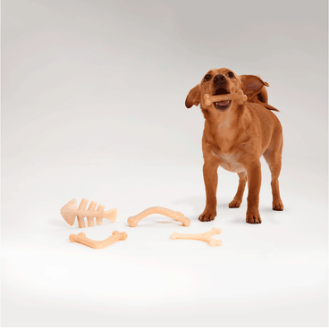 Brinquedo Osso Bamboo Y Animalíssimo Pequeno cachorro brincando