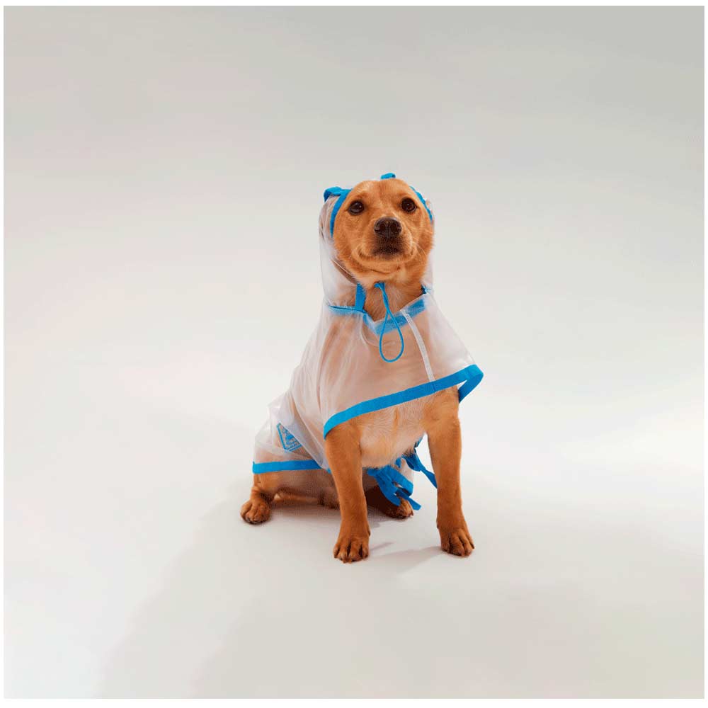 Capa de Chuva para Cachorro Azul Bichinho Chic
