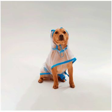 Capa de Chuva para Cachorro Azul Bichinho Chic ambientada