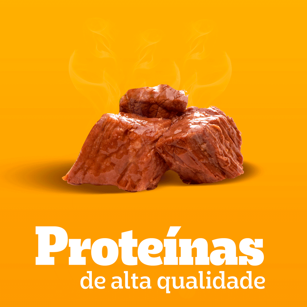 Ração Úmida Pedigree Sachê Cães Adultos Raças Pequenas Cordeiro ao Molho