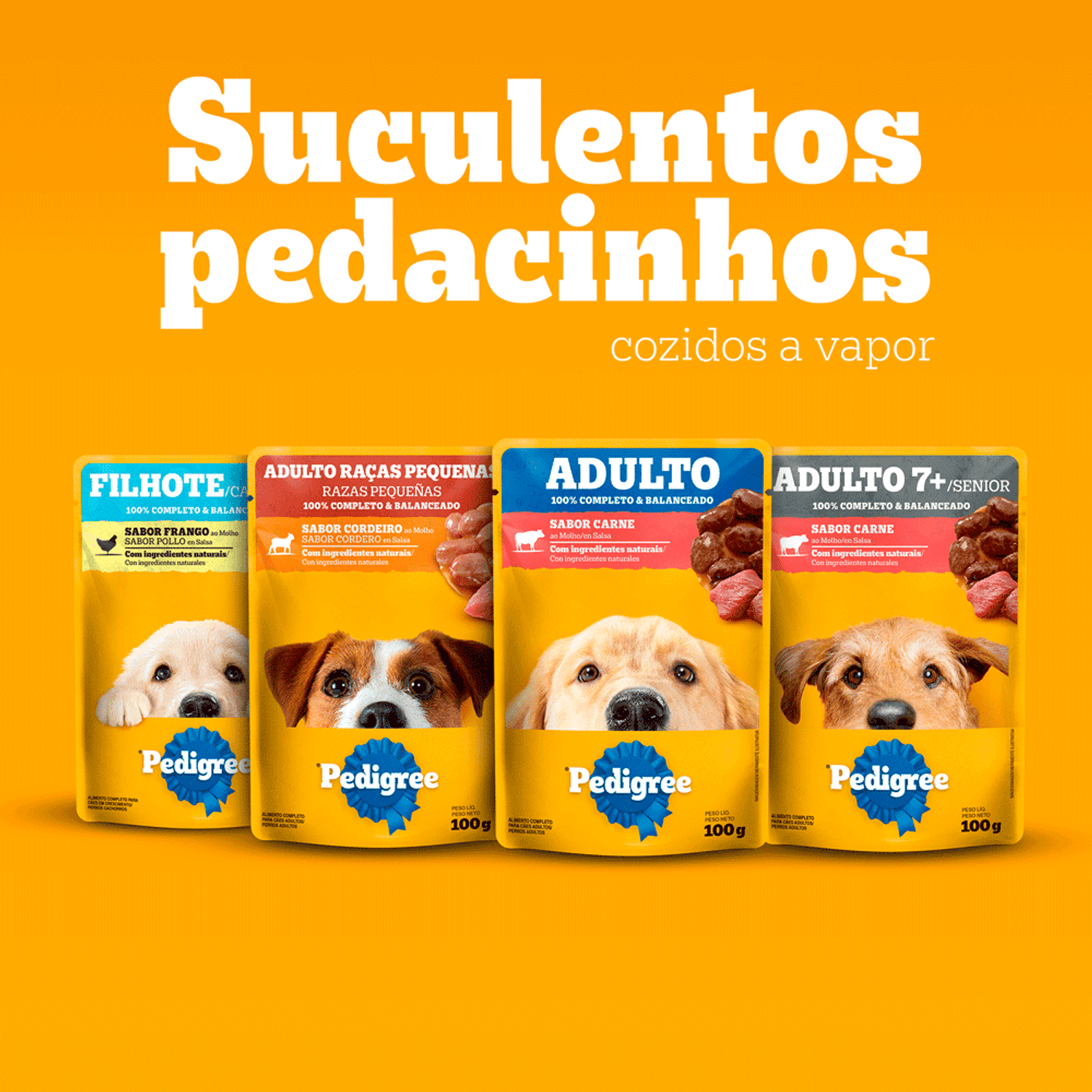 Suculentos Pedacinhos