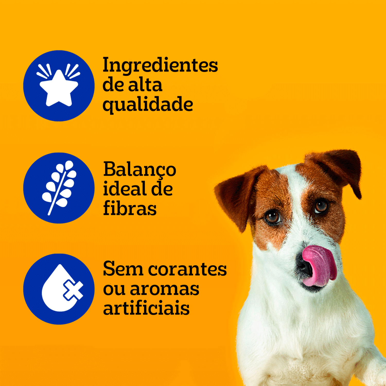 Benefícios da Ração Úmida Pedigree Sachê Cães Adultos Raças Pequenas Carne ao Molho