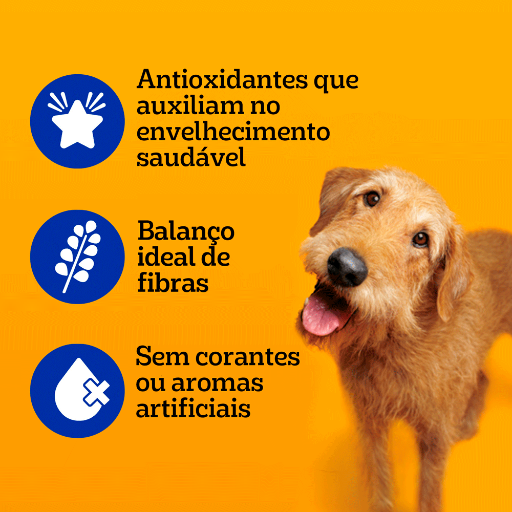 Ração Úmida Pedigree Sachê Cães Adultos Sênior 7+ Anos Carne ao Molho