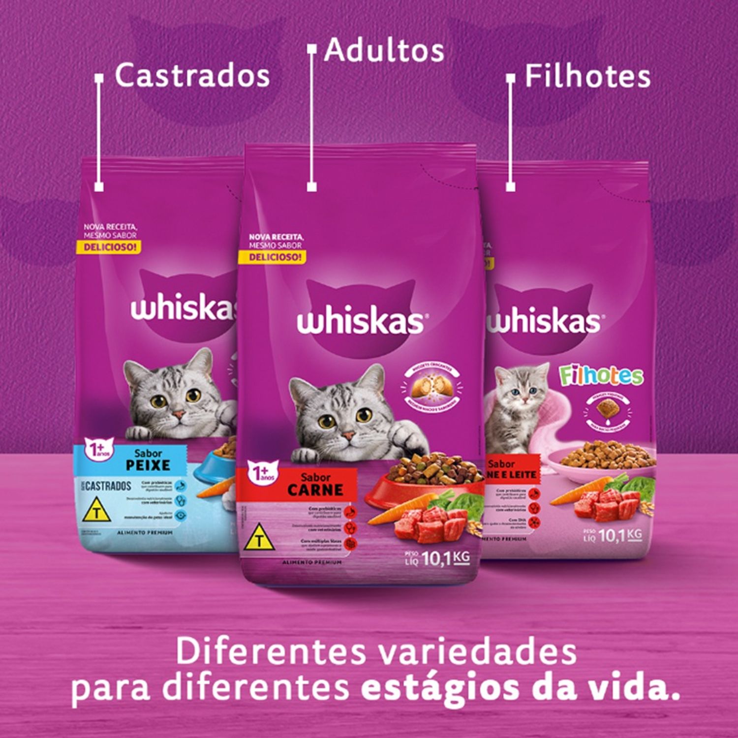 Rações Whiskas várias fases