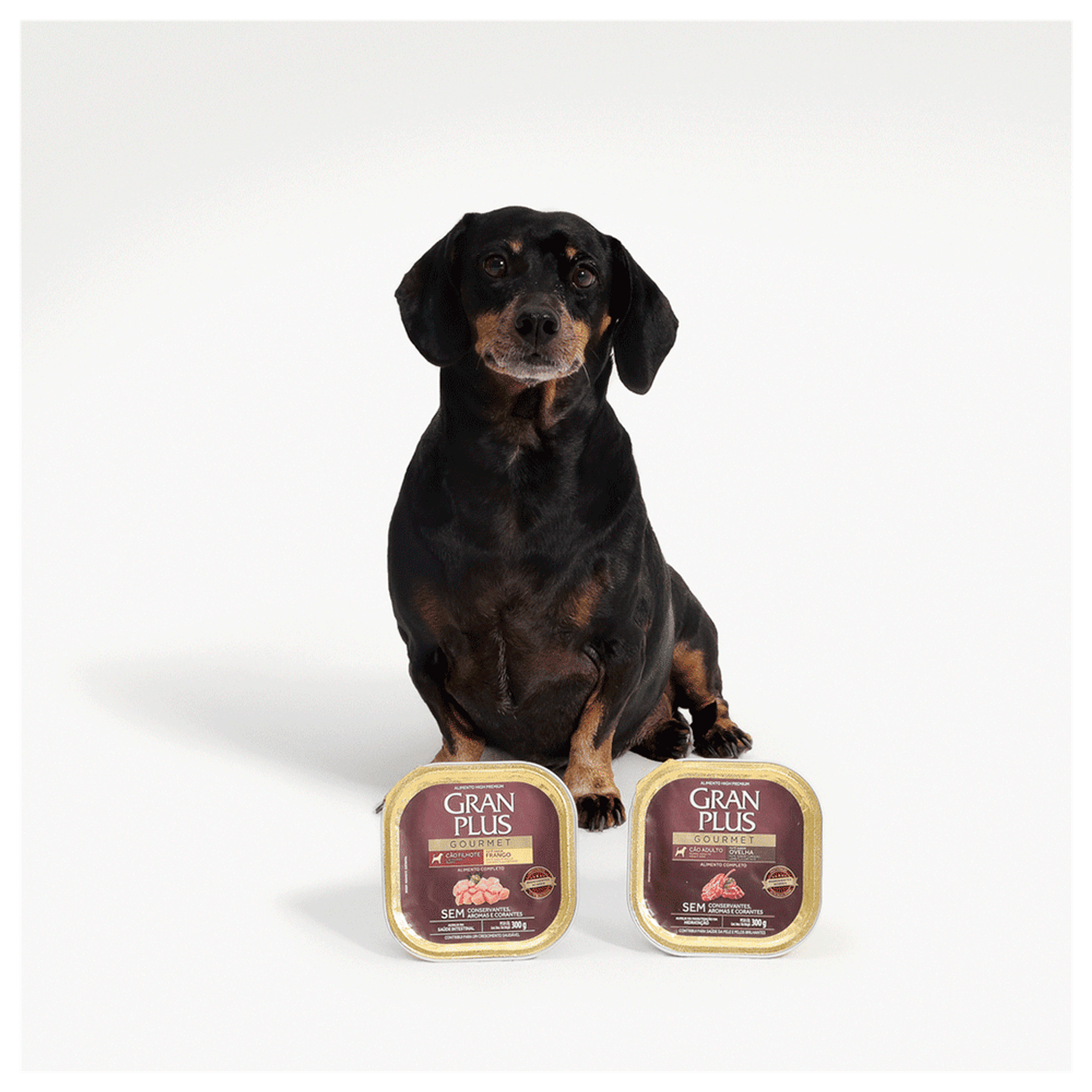 Linha-Completa-da-Racao-Umida-GranPlus-Caes-Adultos-Pate-Gourmet