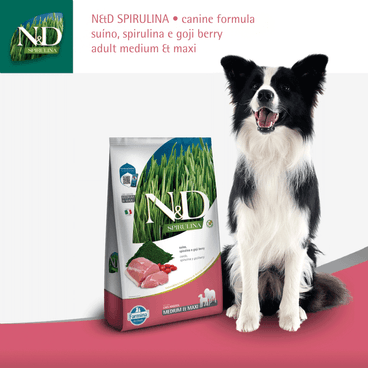 Ração N&D Spirulina Cães Adultos Medium e Maxi Suíno