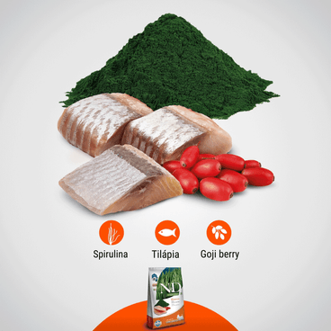 Ração N&D Spirulina Cães Adultos Medium e Maxi Tilápia ingredientes