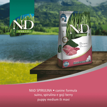 Ração N&D Spirulina Cães Puppy Medium e Maxi Suíno