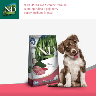 Ração N&D Spirulina Cães Puppy Medium e Maxi Suíno