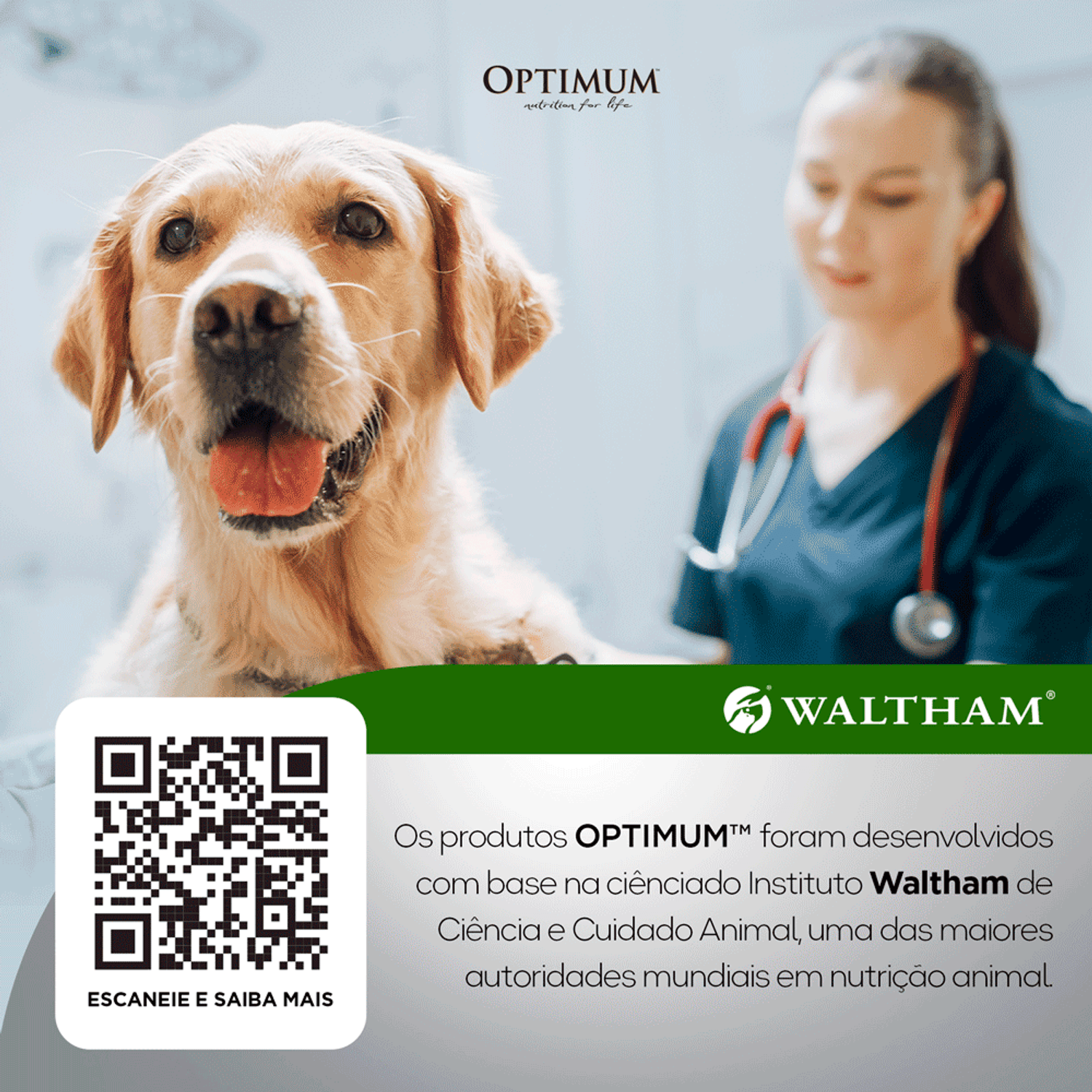Tecnologia Walyham