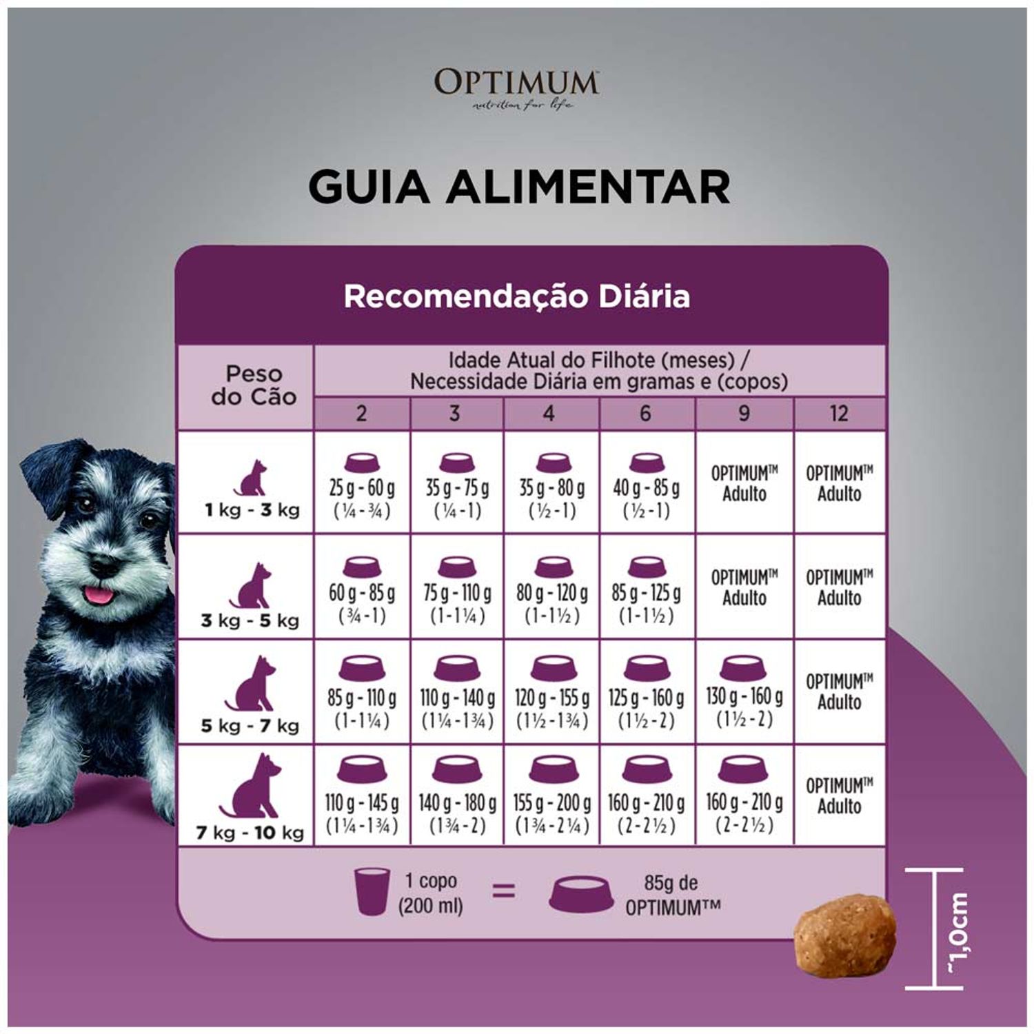 Guia alimentar
