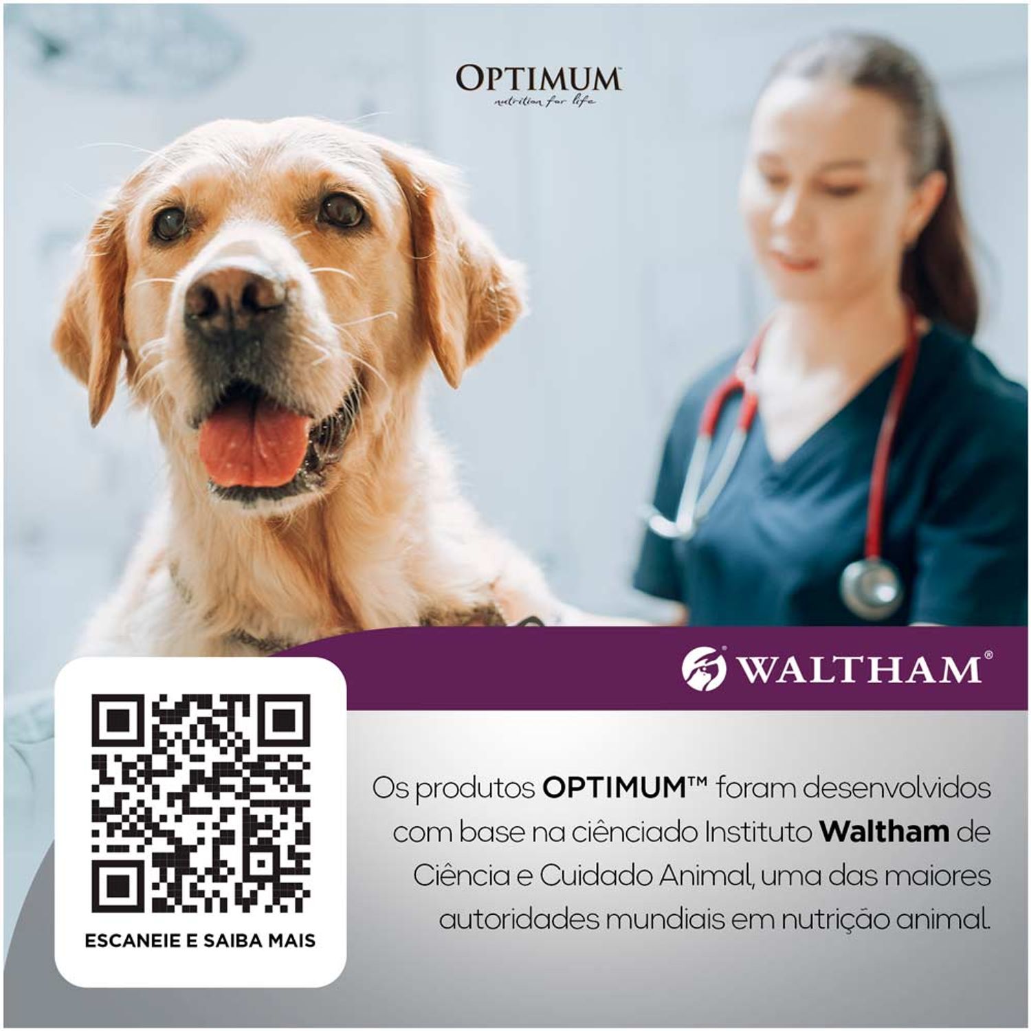 Tecnologia Waltham