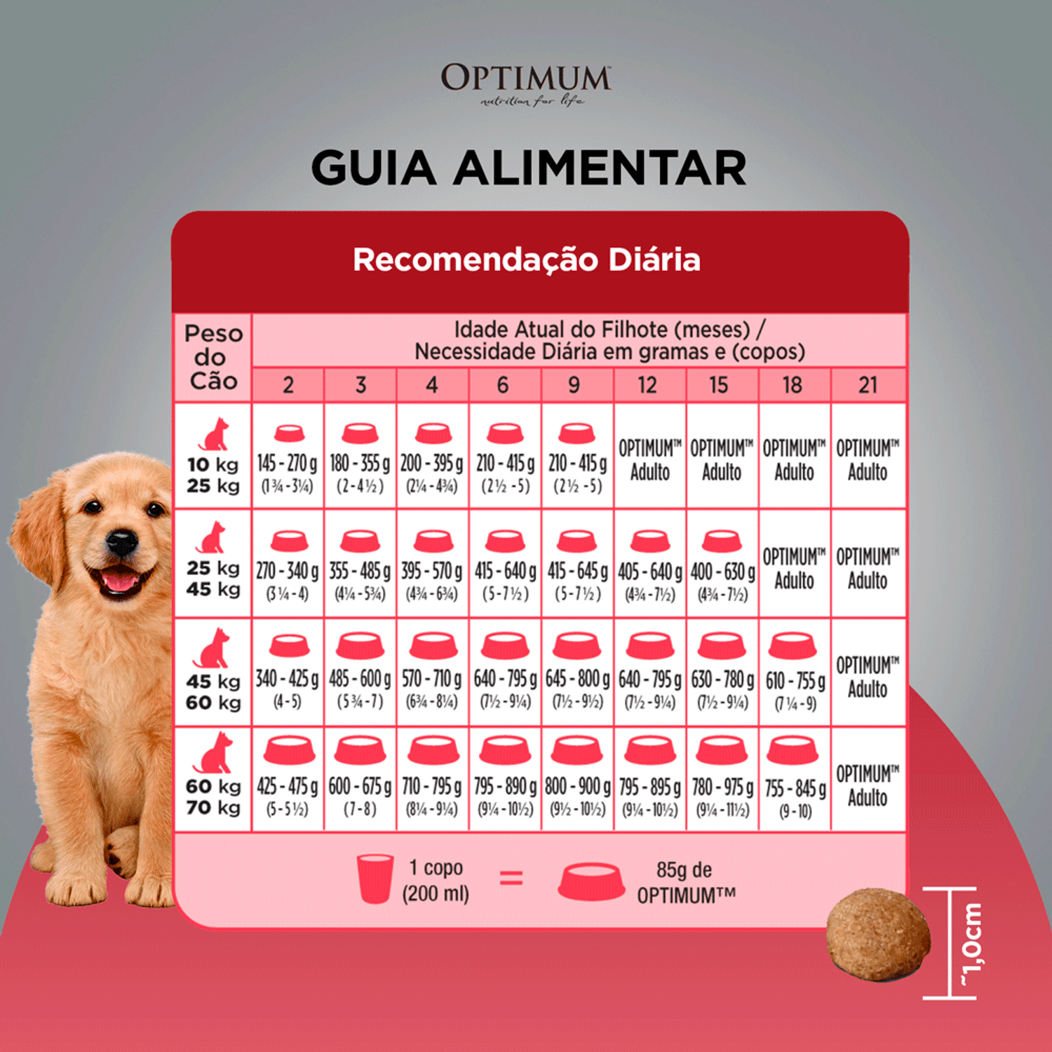 Guia de Alimentação