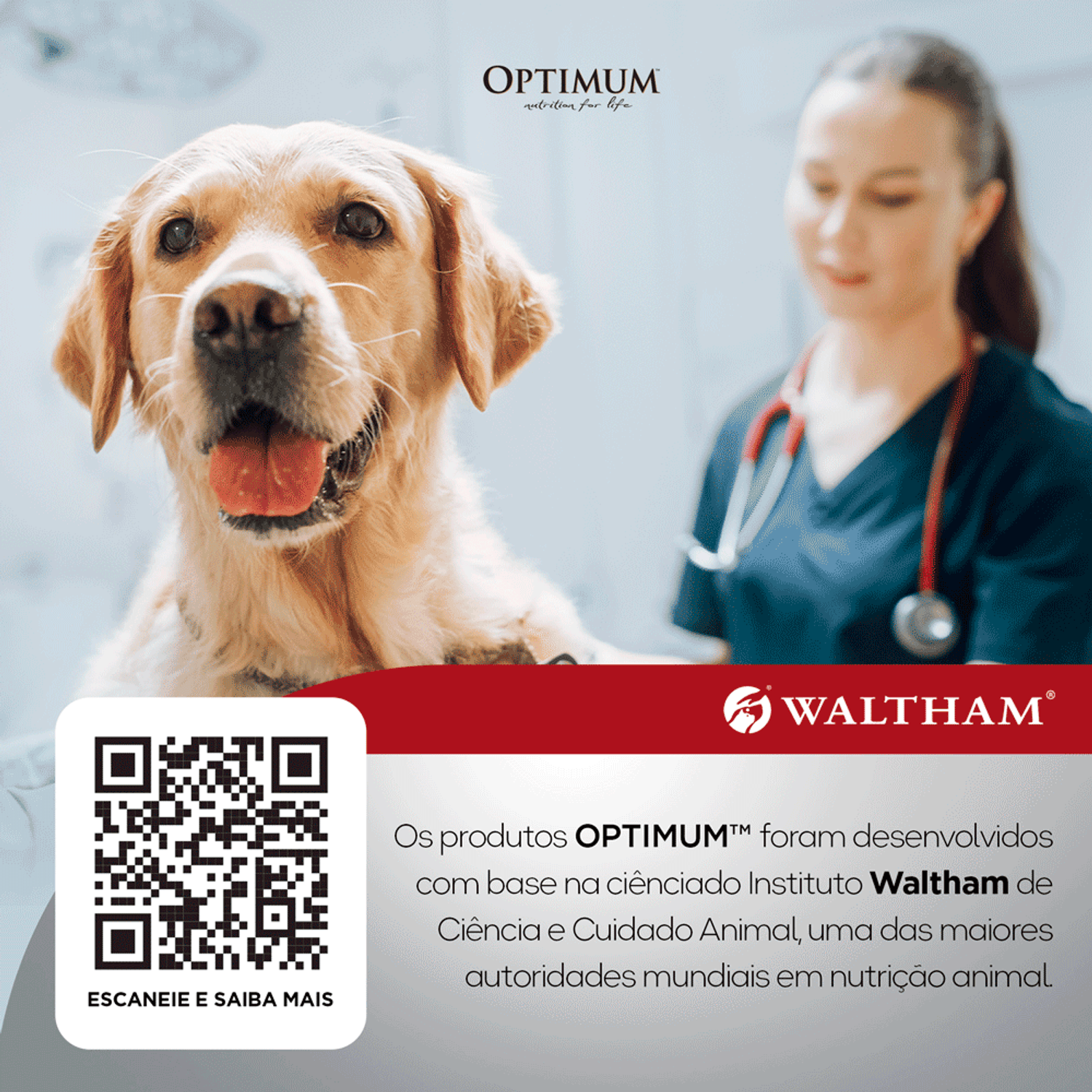 Tecnologia Waltham