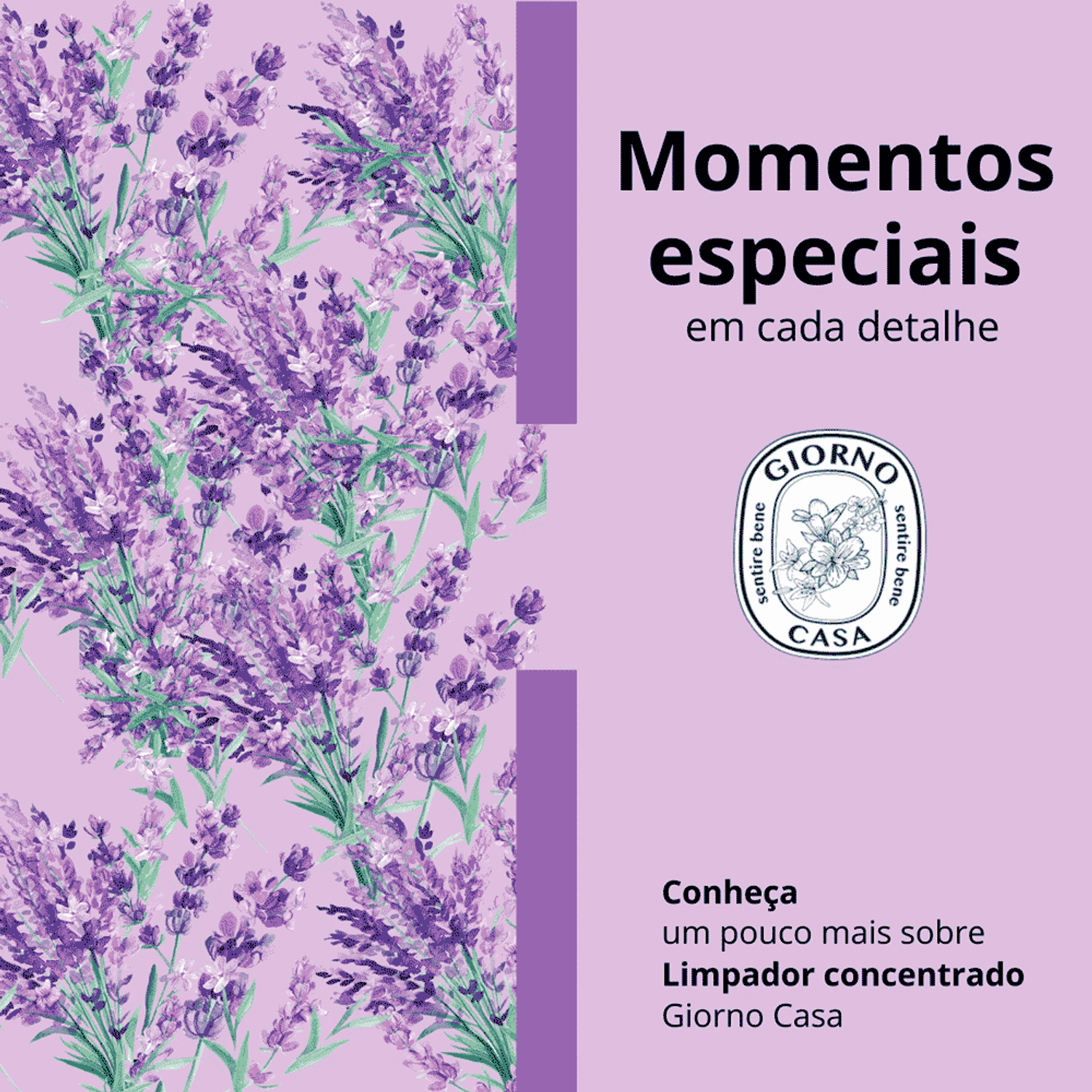 Conheça o Limpador Concentrado de Superfície Giorno Casa Lavanda