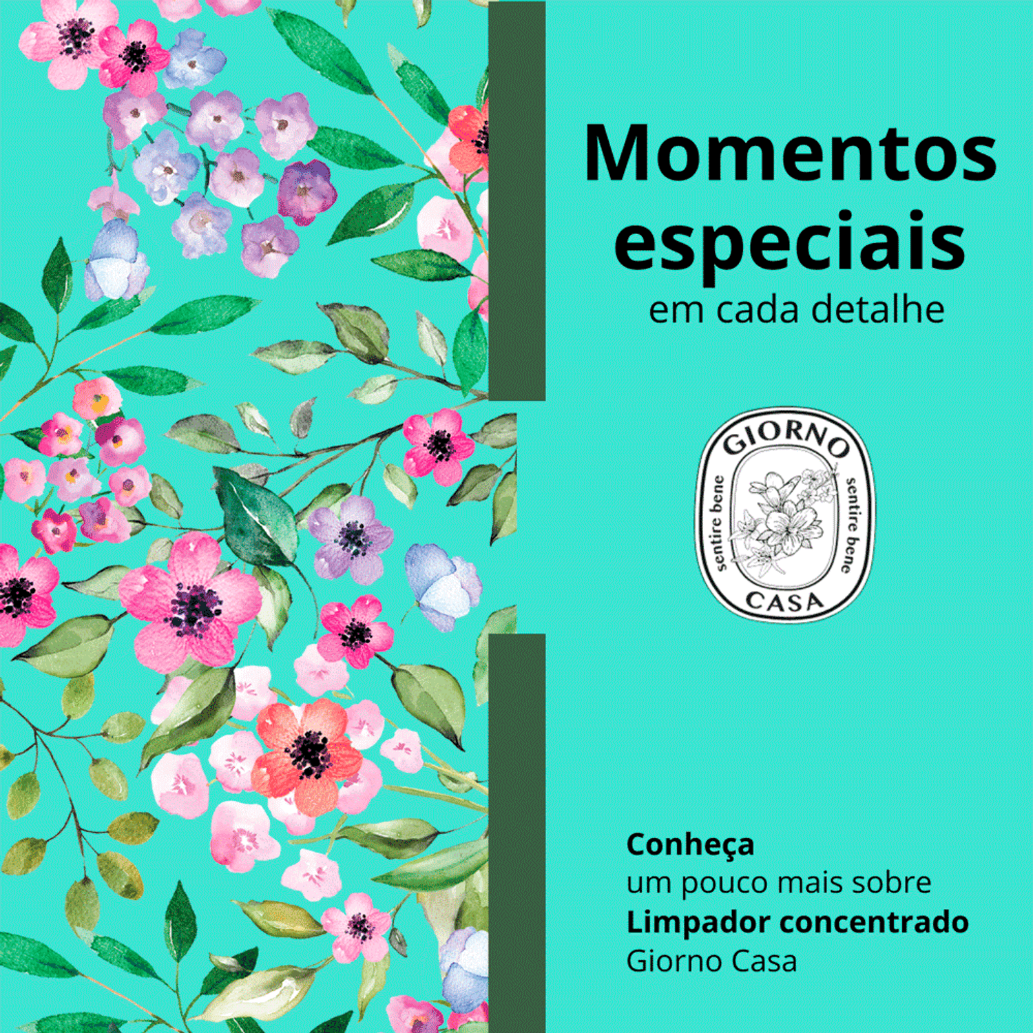 Conheça o Limpador Concentrado de Superfície Giorno Casa Verbena