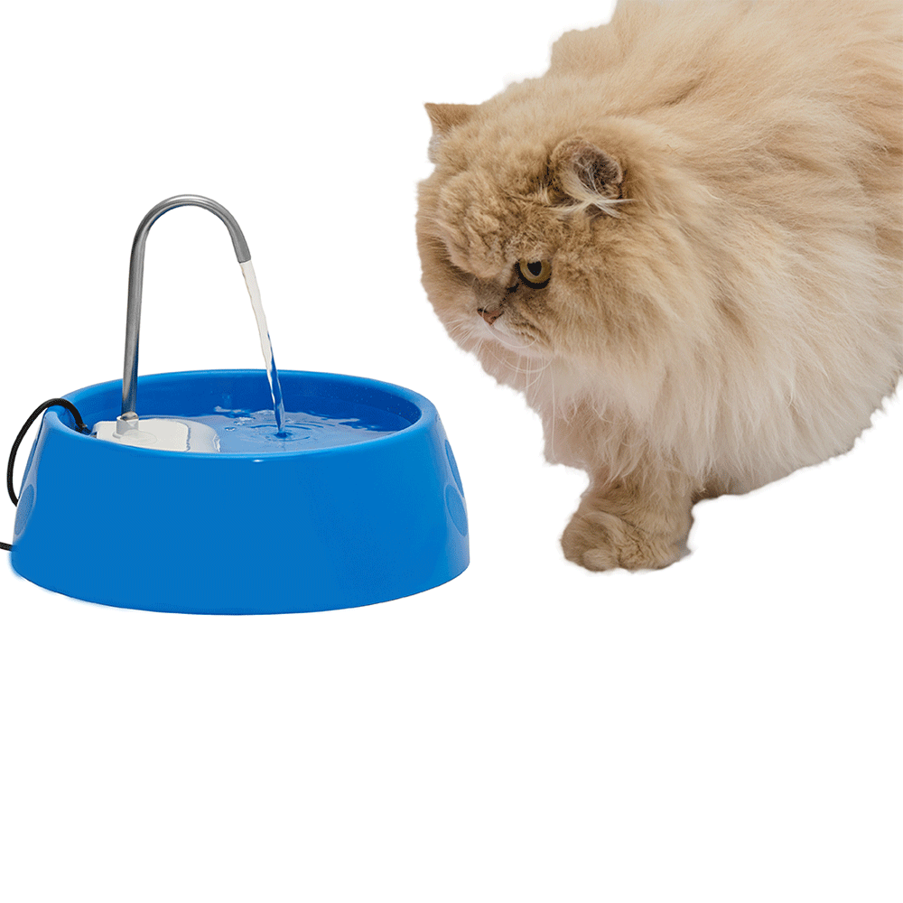Fonte Bebedouro Aqua Mini Amicus Bivolt Azul
