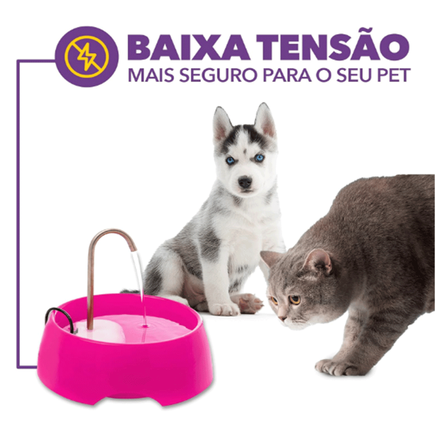 Fonte-Bebedouro-Aqua-Mini-Amicus-Bivolt-Azul-baixa-tensao-