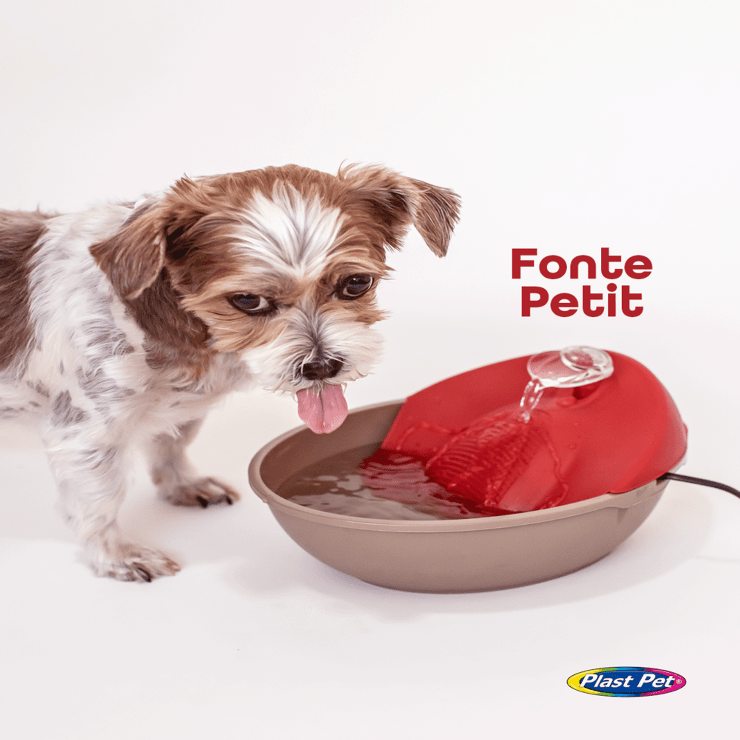Bebedouro-Fonte-Petit-Plast-Pet-Vermelho-cao-filhote-bebendo