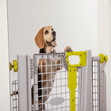 Portão de Segurança Keepo Plast Pet - cachorro apoiado na grade