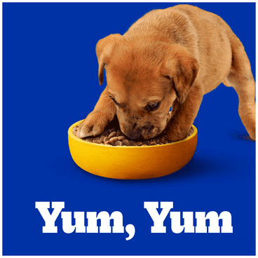 Ração Pedigree Cães Filhotes Carne Frango e Cereais 10,1kg saboroso