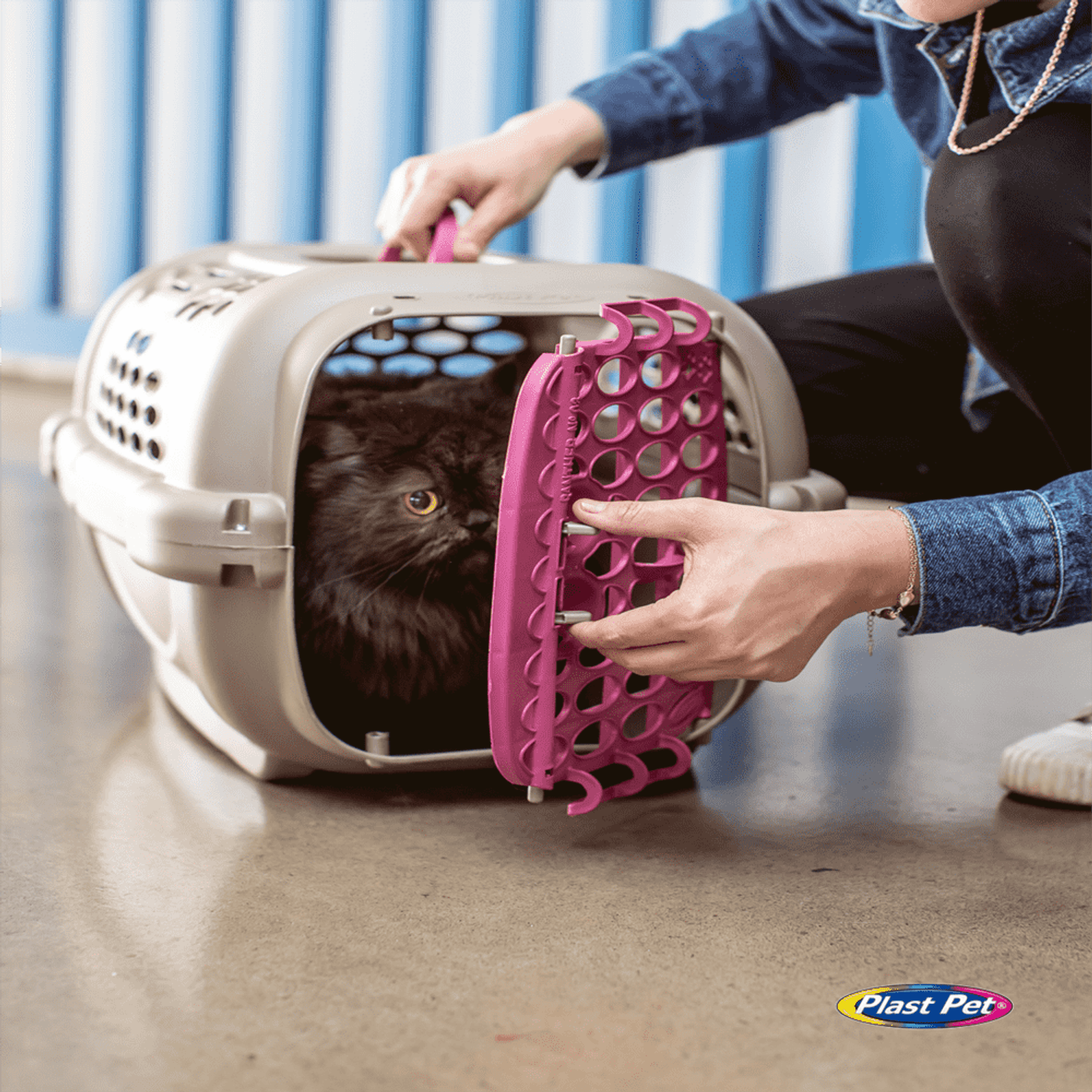 Caixa de Transporte Panther Plast Pet gato usando