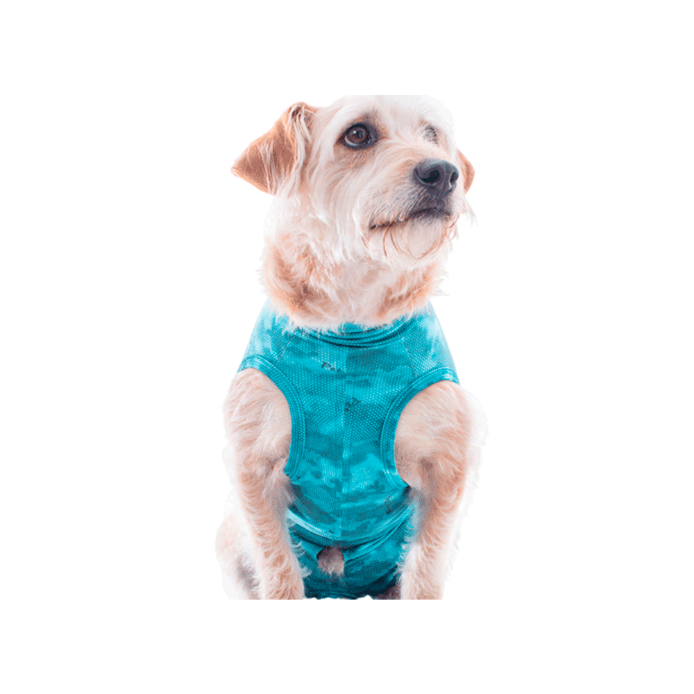 Roupa Pós-Cirúrgica Dry Ligth Supreme para Cães Machos Pet Med Verde