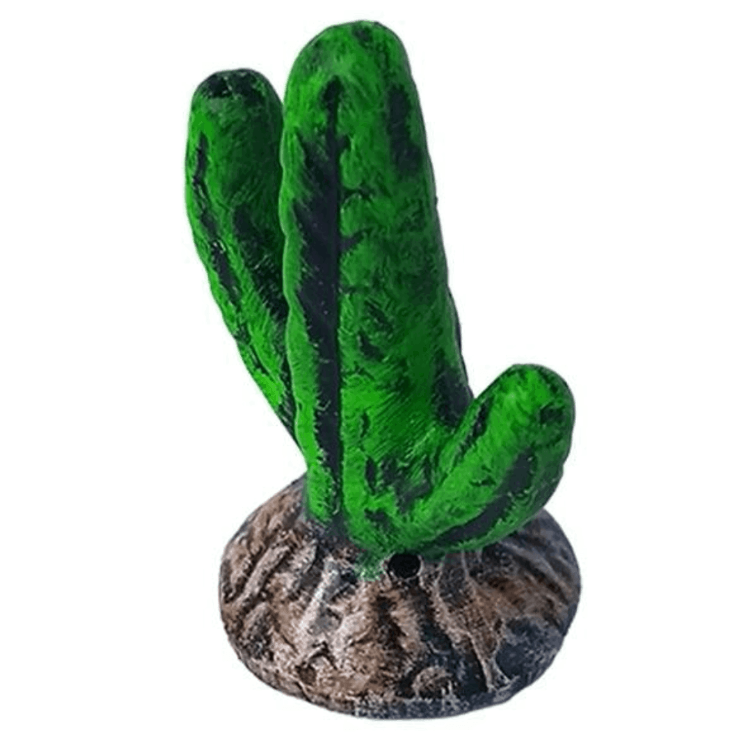Enfeite Cacto Dedo Decorado Trema lado