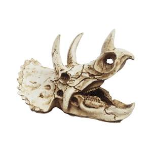 Enfeite Crânio de Triceratops NomoyPet - Único