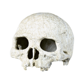 Enfeite para Aquário Meia Caveira NomoyPet