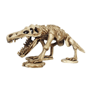 Enfeite Esqueleto de Dinossauro NomoyPet - Único
