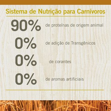 Sistema de Nutrição