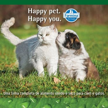 Ração NeD Prime para cães e gatos