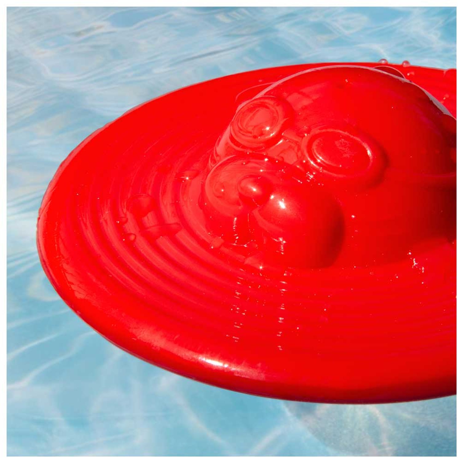 Brinquedo Foca para Cães Focão GermanHart  aquático