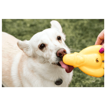 Brinquedo Gorila para Cães Dogorila GermanHart com o pet