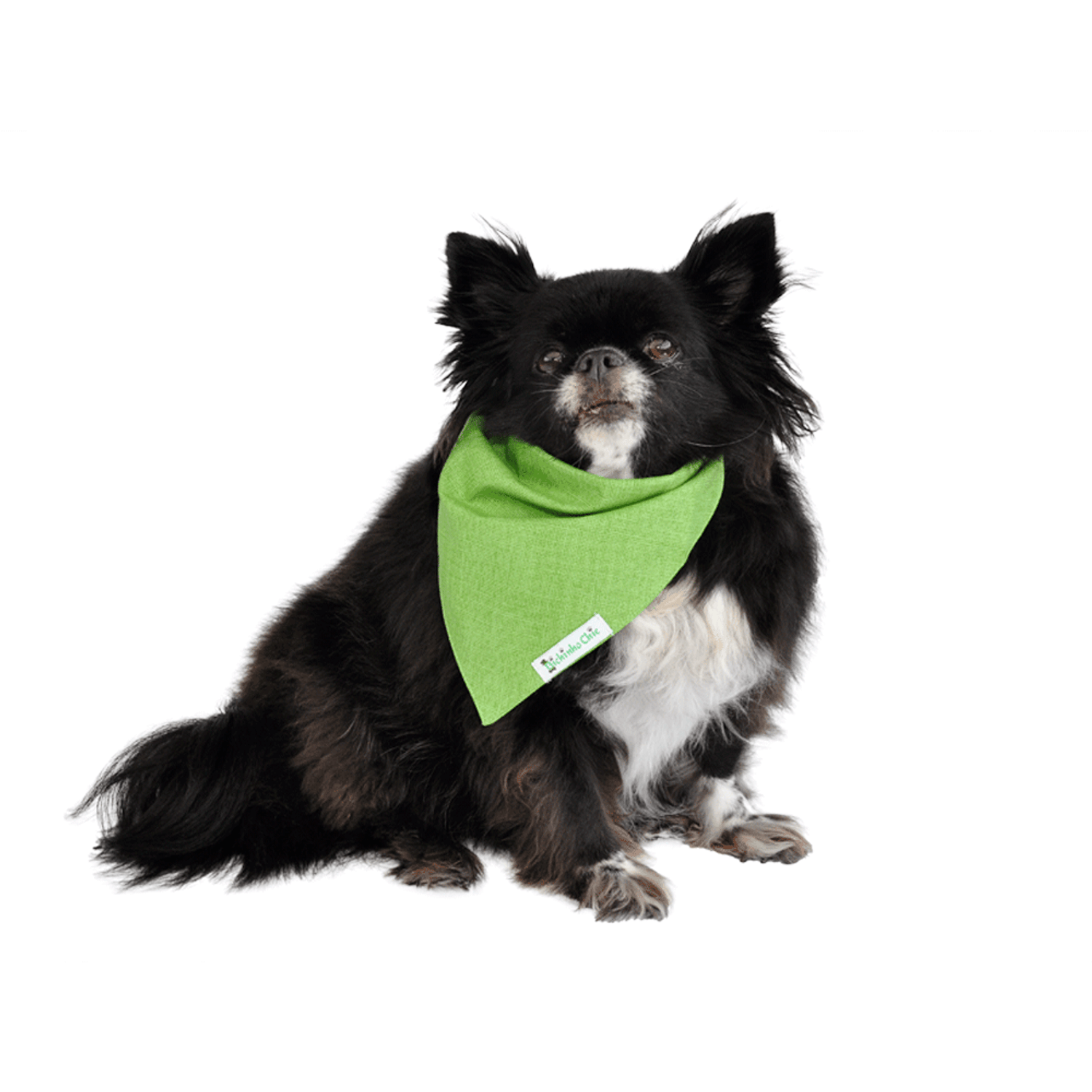 Cachorro Usando Bandana Verde