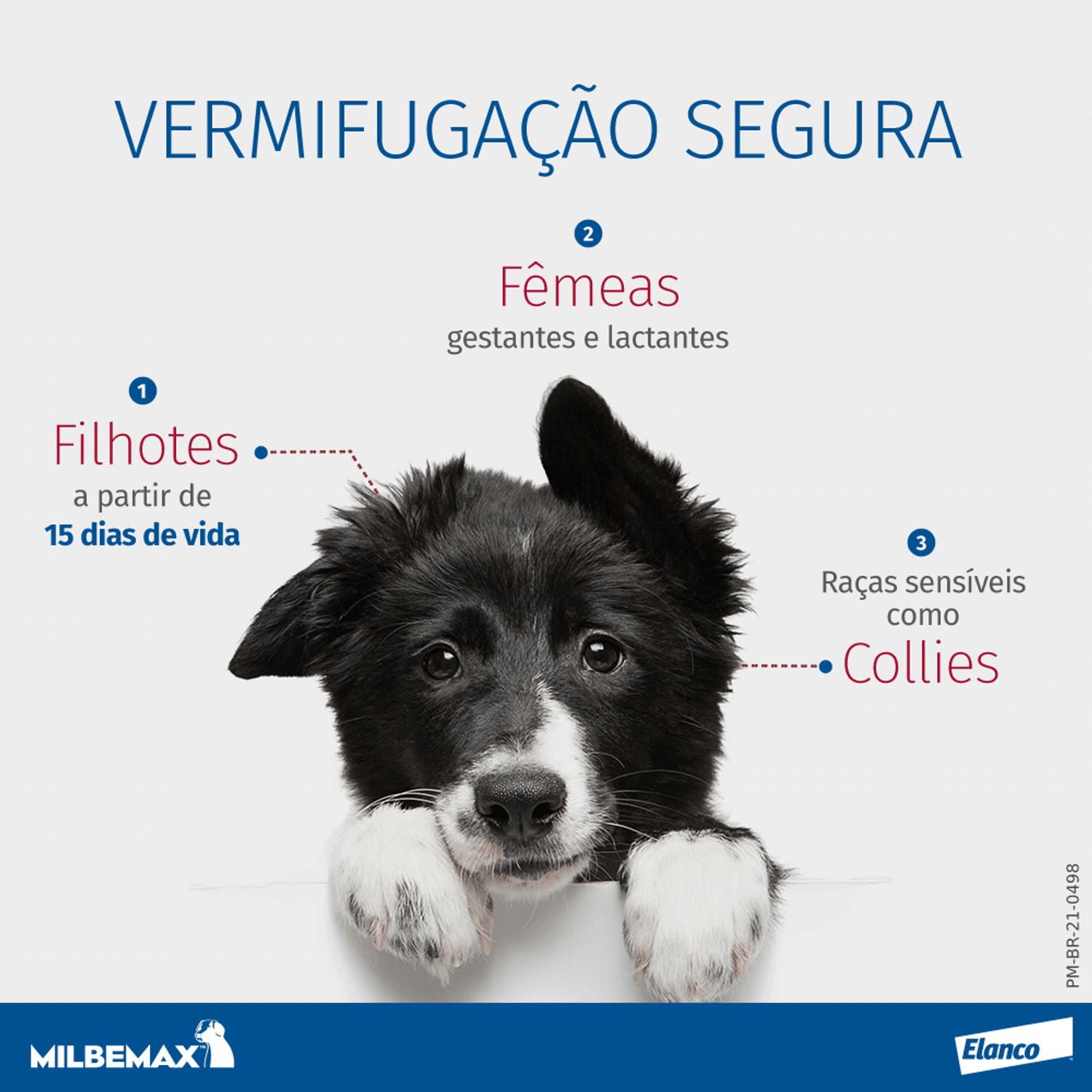 Seguro para filhotes, fêmeas gestantes e lactantes e Collies