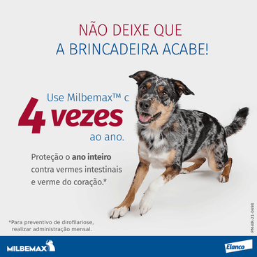 Use milbemax 4 vezes ao ano