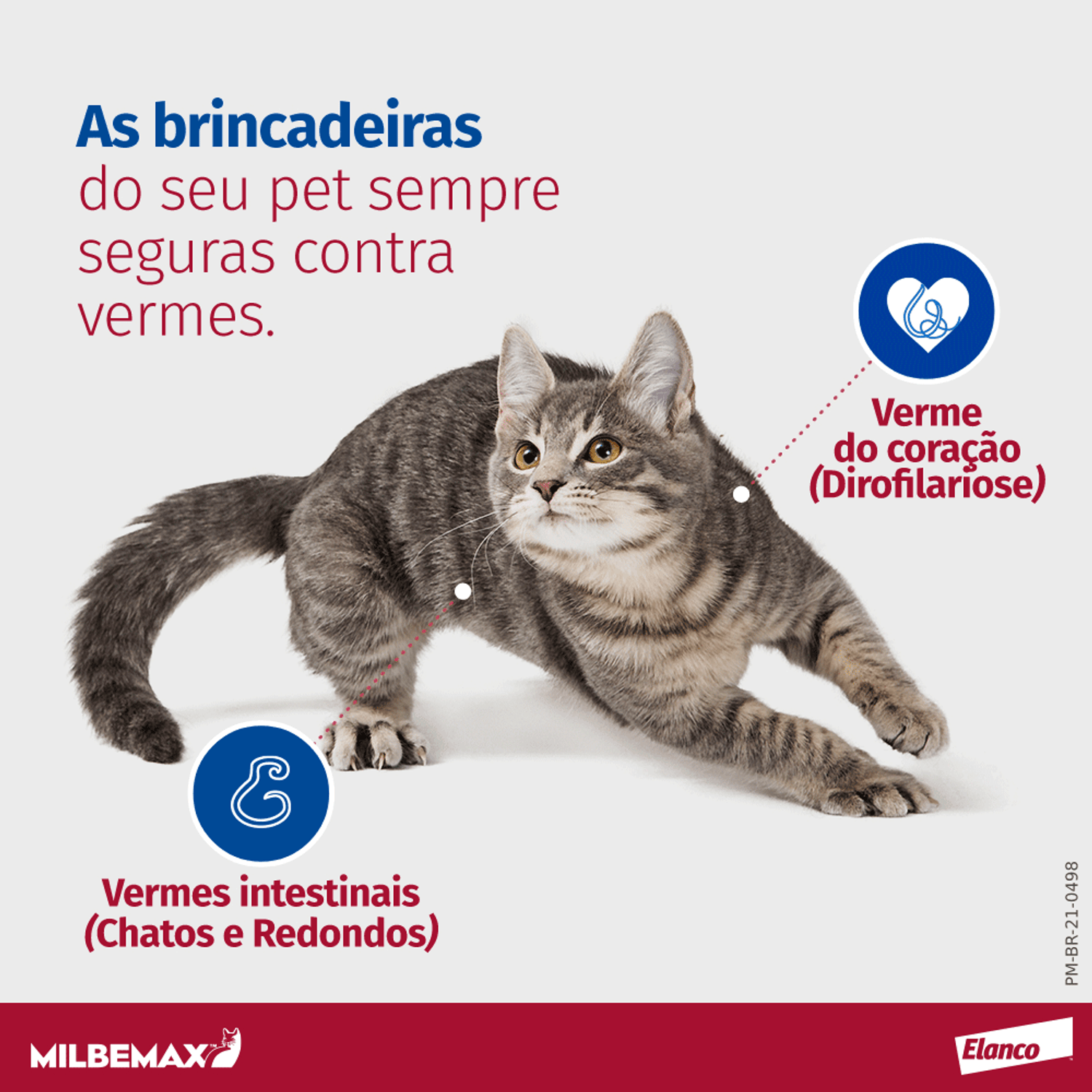 contra vermes intestinais e vermes do coração