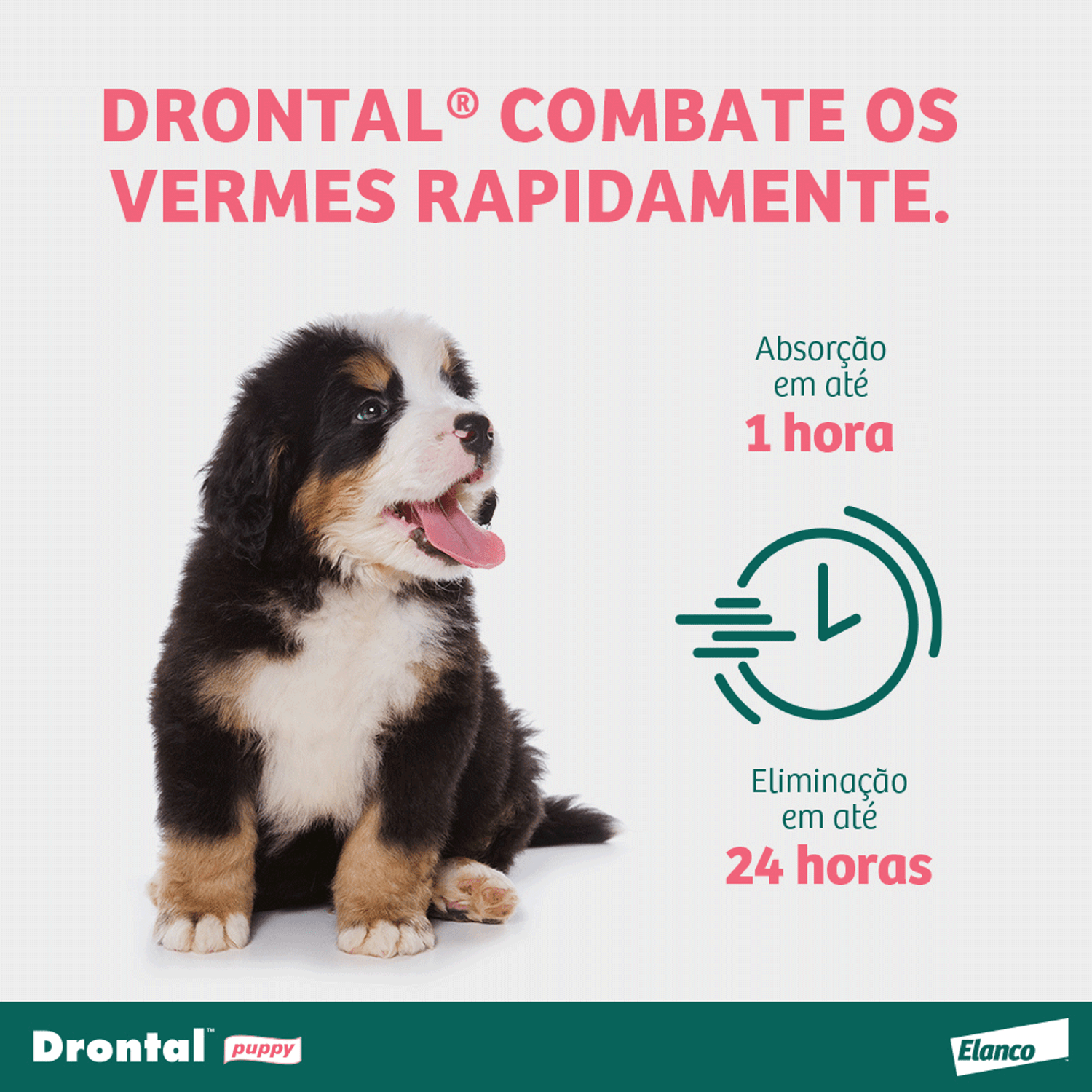 Absorve em até uma hora e elimina em até 24 horas